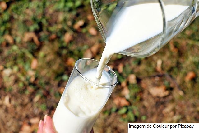 Governo de SC sanciona lei que reduz ICMS para leite e outros alimentos