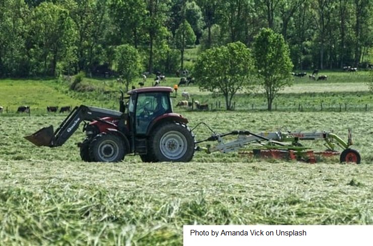 Estudo argentino-uruguaio diz que a pecuária extensiva conserva o carbono no solo