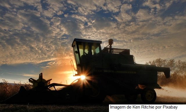 Valor da Produção Agropecuária de 2022 está estimado em R$ 1,185 trilhão