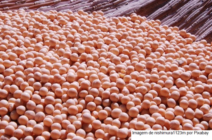 Preços da soja estabilizam e produtor arrisca comercializar