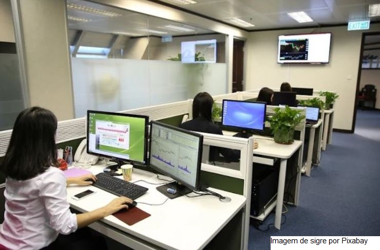 Emprego celetista cresce no Brasil