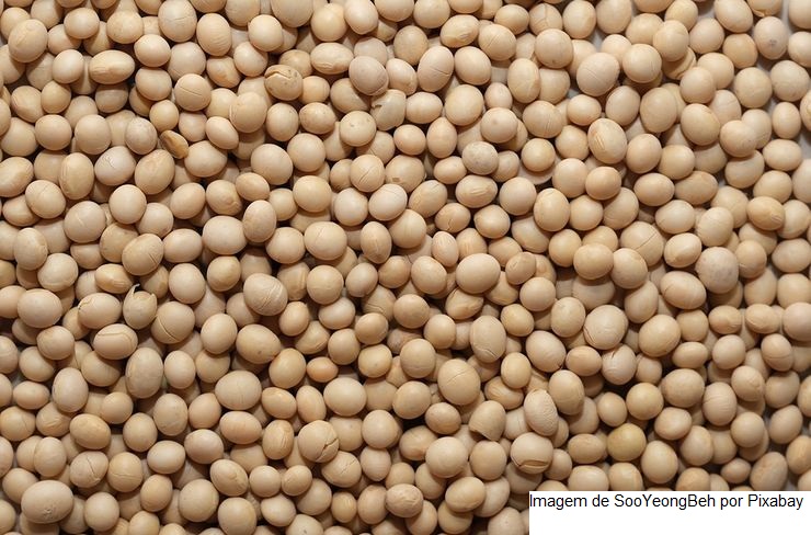 Soja/Cepea: Preço da soja sobe no BR; exportação de março é recorde para o mês