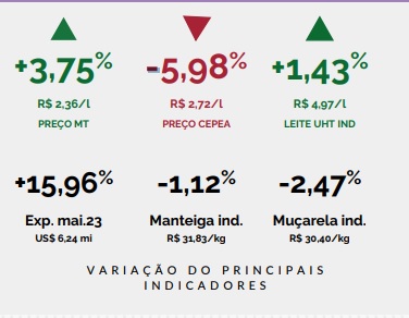 Leite pago ao produtor teve uma alta de 3,75% em MT