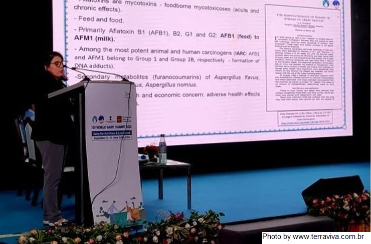 A segunda palestra brasileira na WDS2022