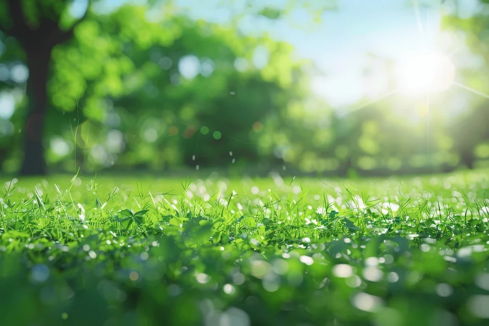 Sistemas agroflorestais promovem estoque de carbono no solo 30% maior do que o da vegetação natural