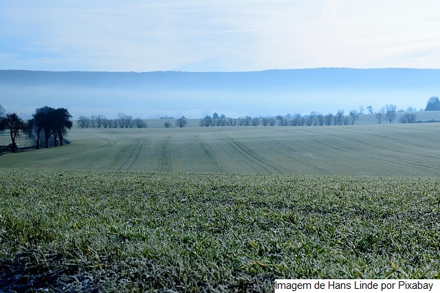 Frio intenso e geadas de julho causaram danos pontuais em hortaliças e frutas em SC
