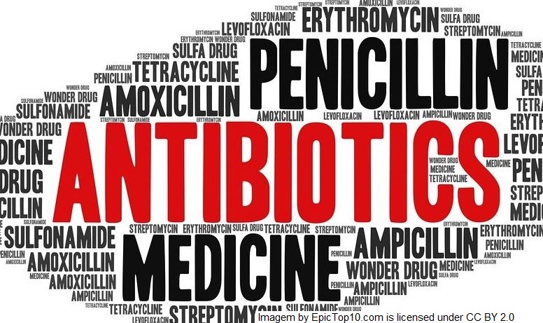 UE – Nova pesquisa mostra acentuada queda no uso de antibiótico em animais