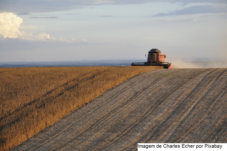 Plantio da safra de soja atinge 67% no Brasil, diz consultoria