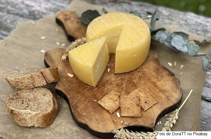 CNA divulga os finalistas da primeira etapa do Concurso de Queijo Artesanal