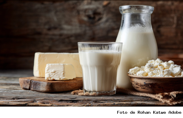 Preços dos lácteos seguem em queda e Spot com recuo expressivo