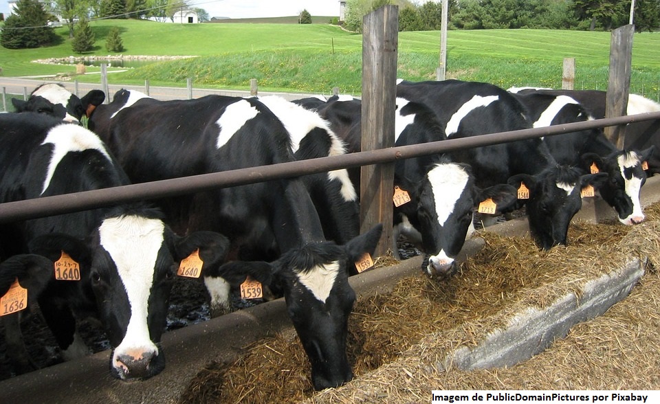 CNA levanta custos de produção da agropecuária em oito estados