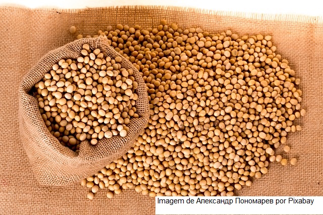 USDA traz vendas semanais de soja e milho para exportação dos EUA dentro das expectativas