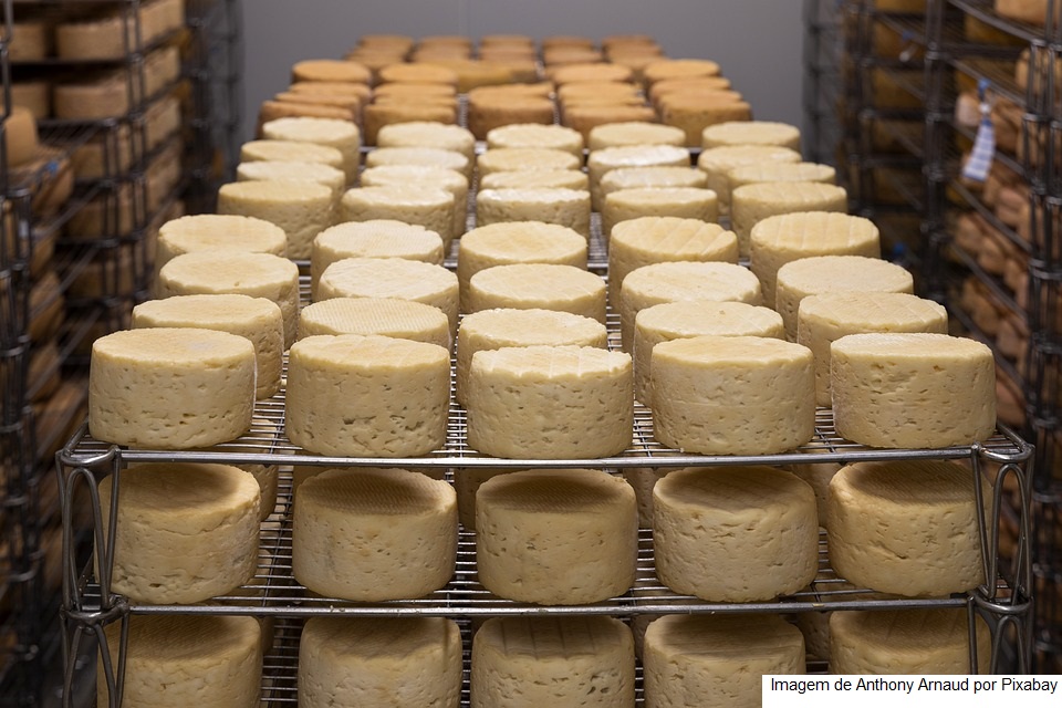 Queijo Minas Artesanal Serro ganha selo que garante comprovação de origem