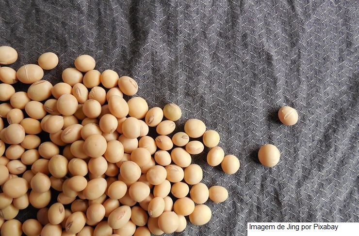 SOJA/CEPEA: Preço do farelo de soja segue em alta no BR