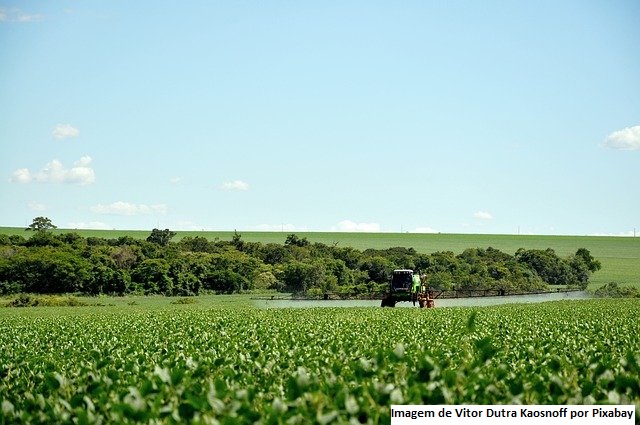 Clima eleva preços da soja no mercado internacional