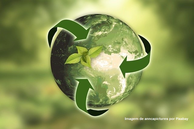 Produtos biodegradáveis revolucionários