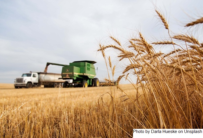 Valor Bruto da Produção Agropecuária de 2022 é estimado em R$ 1,2 trilhão