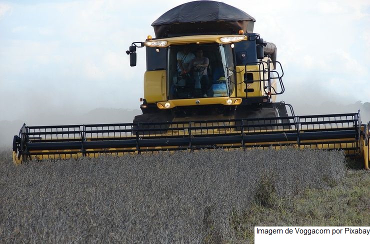 Produtores de soja do oeste da Bahia correm com o plantio para instalar safrinha