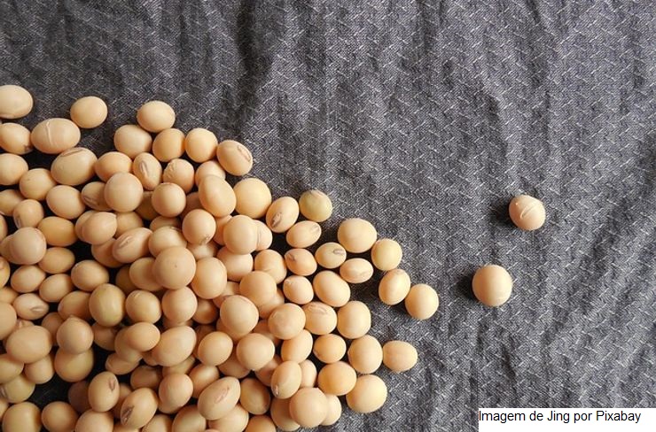 Adido do USDA eleva previsão de safra de soja do Brasil para 153 mi t