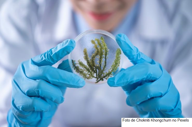 Embrapa anuncia empresas parceiras na criação do primeiro laboratório vivo do agro brasileiro