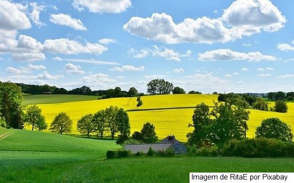 Boletim Prohort: Clima prejudica oferta de hortaliças e frutas no país