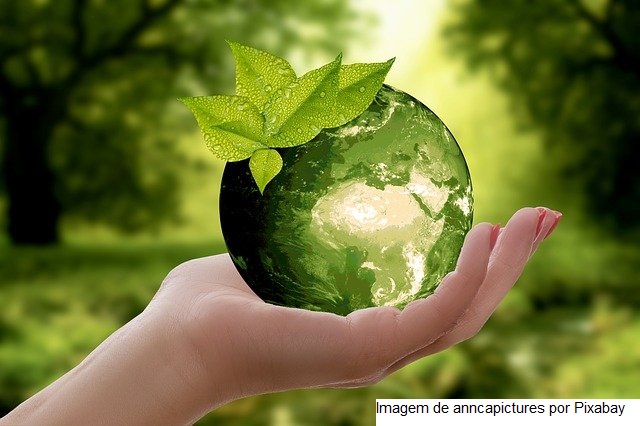 Embrapa apresenta soluções para agricultura sustentável na COP26