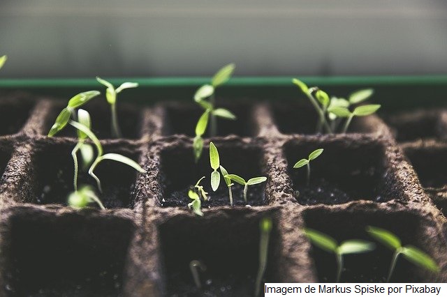 O agro é parte do futuro