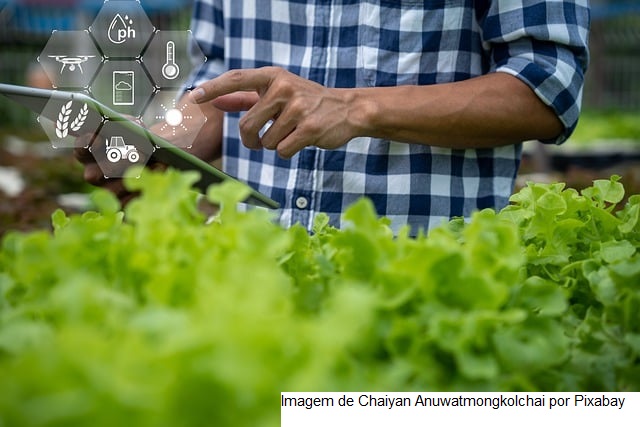 Mercado de tecnologias em agricultura digital tem novidades na plataforma AgroAPI
