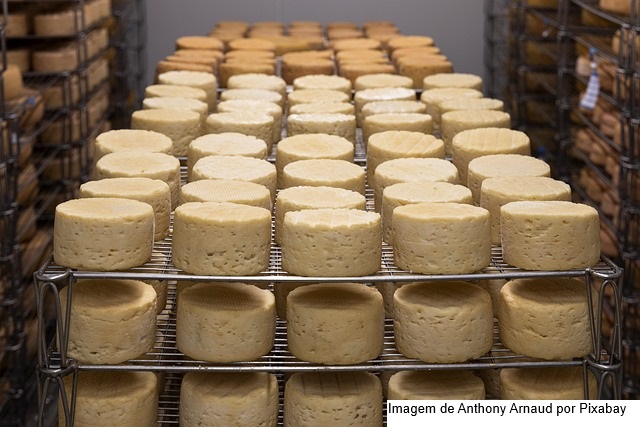 Nova portaria dos queijos artesanais favorece o surgimento de mais receitas autorais