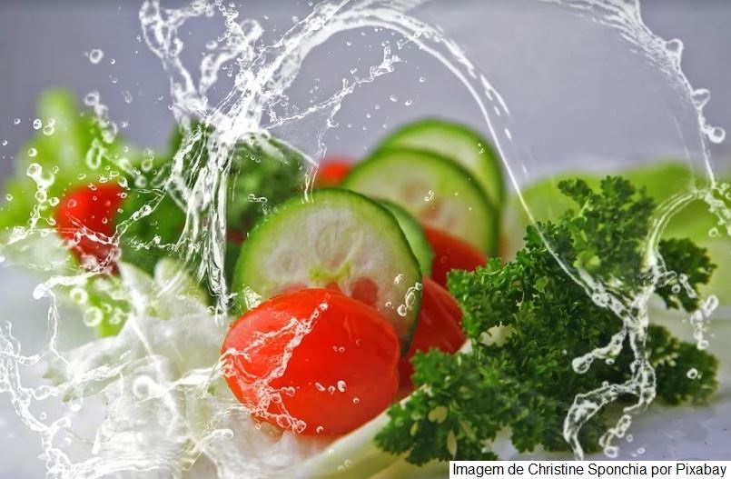 Viamão realiza 5ª Conferência Municipal de Segurança Alimentar e Nutricional