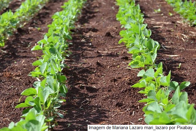 Preços de referência de produtos agropecuários e da aquicultura são reajustados para o ano agrícola 2022/2023