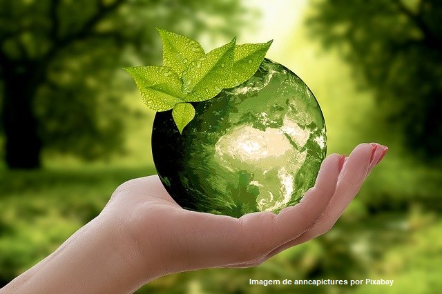 Minerva Foods agora possui o Selo Energia Renovável