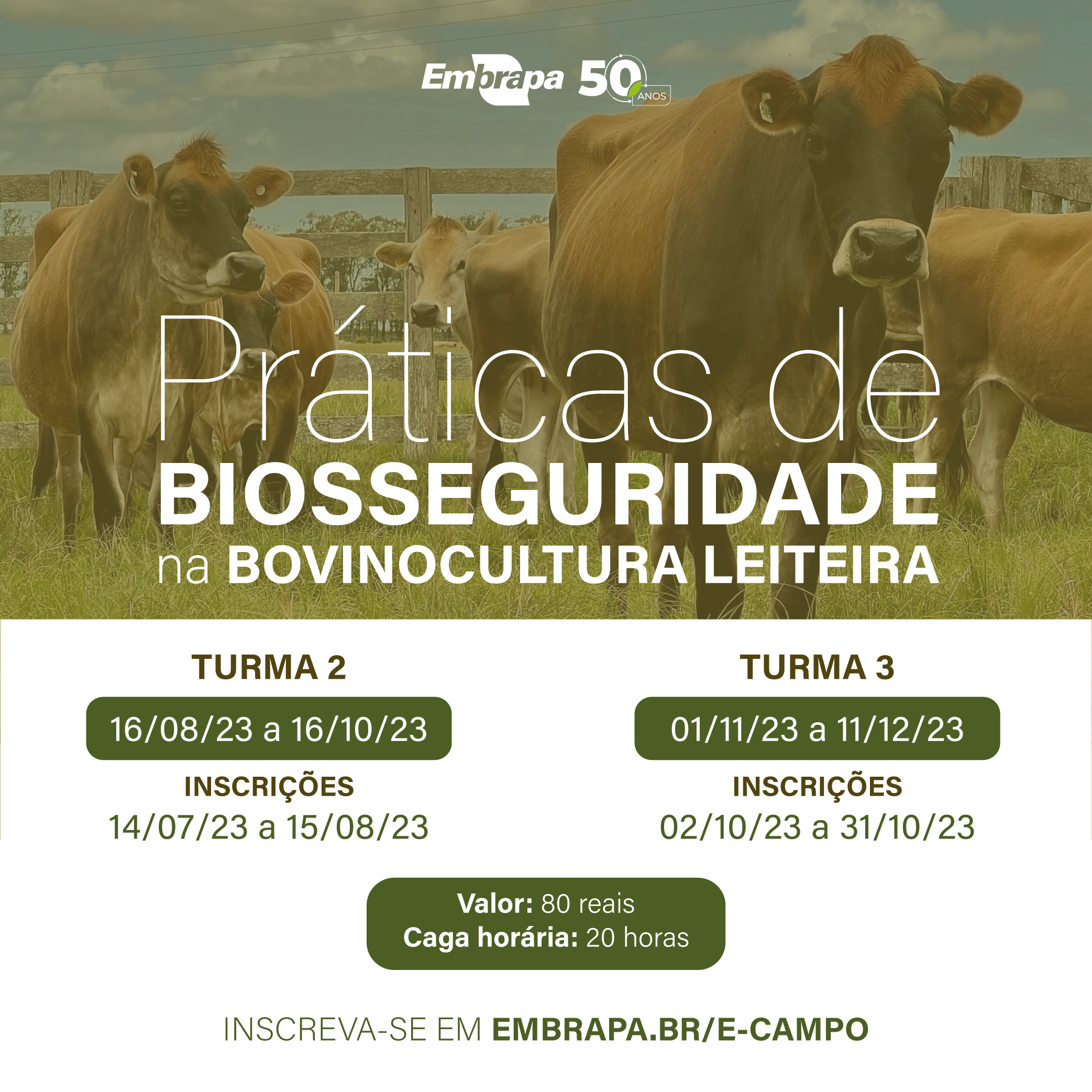 Nova turma de curso on-line sobre práticas de biossegurança na bovinocultura leiteira com inscrições abertas