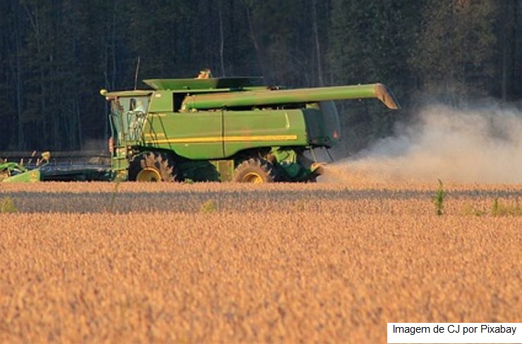 Soja & Milho: USDA traz índice de lavouras em boas/excelentes condições abaixo das expectativas