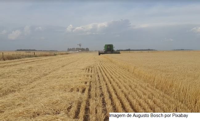 Maior cooperativa agrícola da América Latina antecipa R$ 194 milhões em sobras