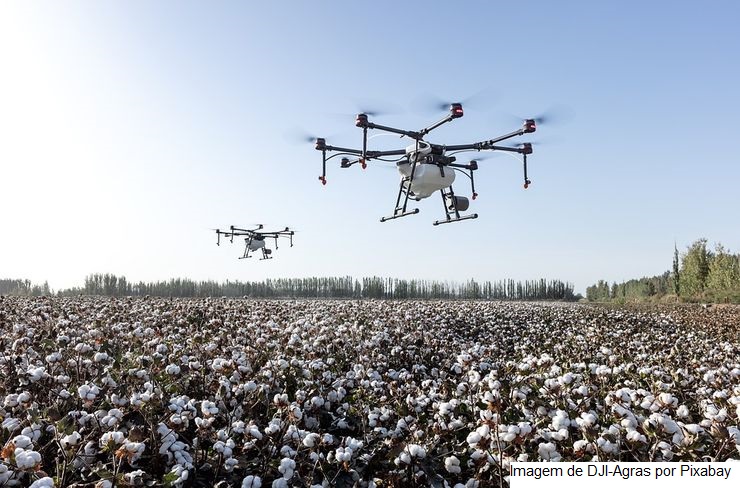 Portal criado pelo Insper e Embrapa oferece análise gratuita do comércio agrícola mundial