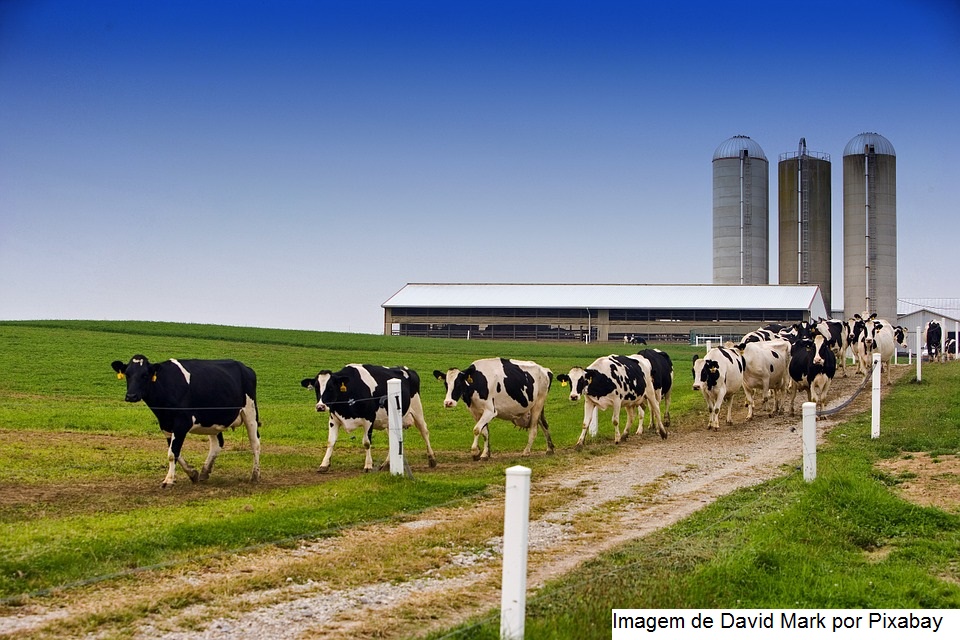 Cenário da agroindústria mundial pós-pandemia será tema de evento do Conagro