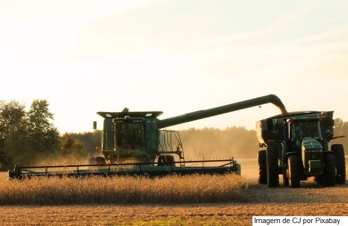 Ipea analisa alta nos preços agropecuários no Brasil e no mercado internacional