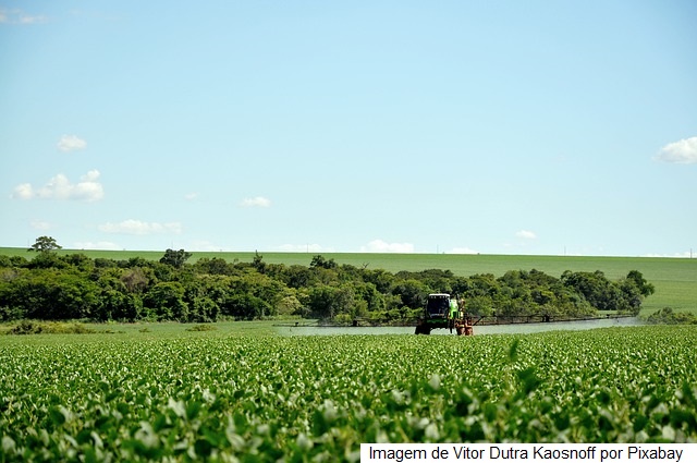 Cerca de 24 mil litros de agrotóxicos falsificados serão incinerados