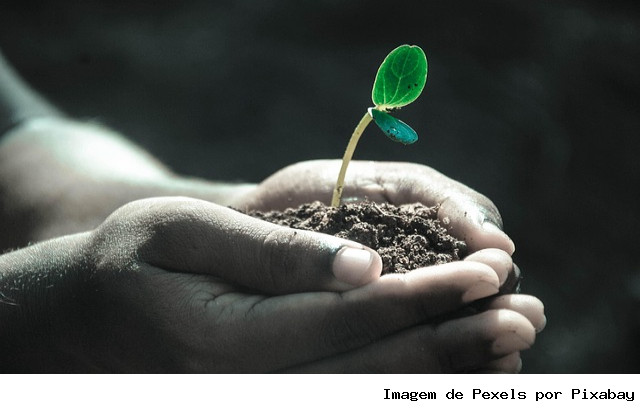 Caminho Verde Brasil é destaque em fórum sobre agricultura regenerativa na COP30