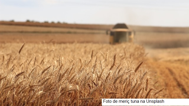Conab inicia visitas de campo para o 2º levantamento da safra de grãos 2023/24