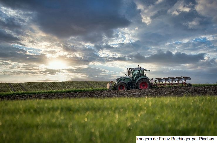 IPPA/CEPEA: Altas de grãos, pecuária e HF influenciam avanço do IPPA/CEPEA