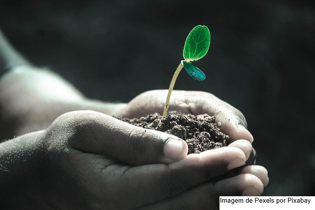 Ministro Fávaro destaca compromisso com a recuperação de solos e fortalecimento da agricultura familiar no lançamento do Programa Solo Vivo