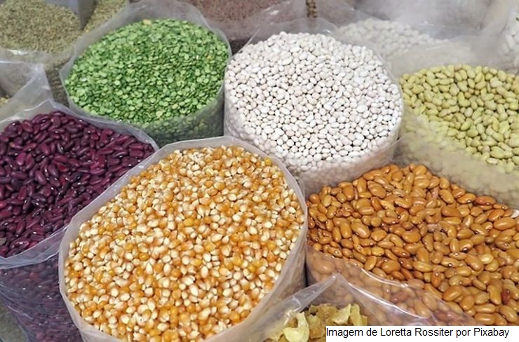 IPPA/CEPEA: Influenciado por grãos e cana-café, IPPA/Cepea inicia ano em alta