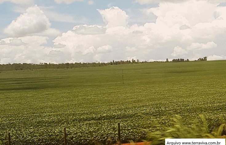 Ucrânia e a seca na América do Sul continuam impulsionando o preço dos grãos
