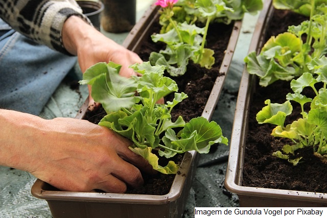 Conheça os critérios para ranqueamento das propostas de projetos do Programa de Aquisição de Alimentos