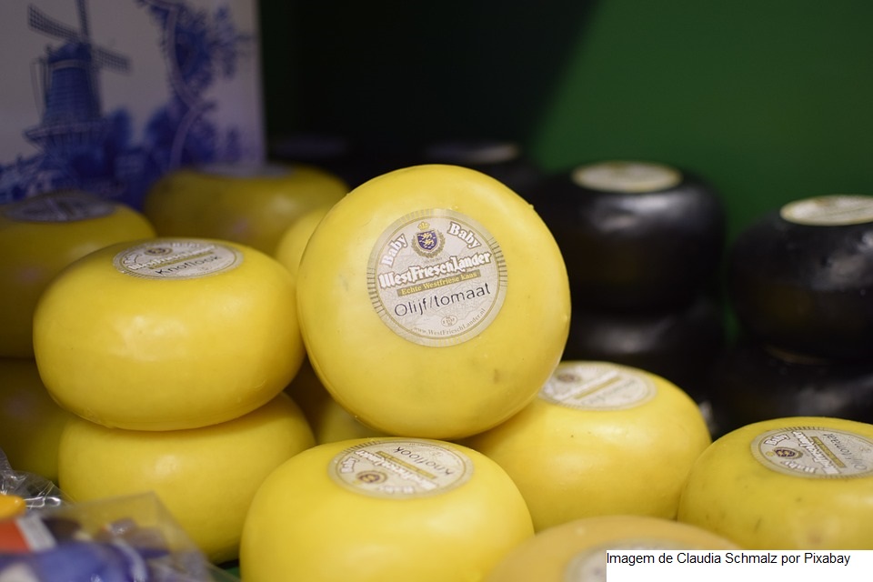 O que faz o queijo do Vale do Jaguaribe ser cientificamente comprovado como único no mundo? Entenda