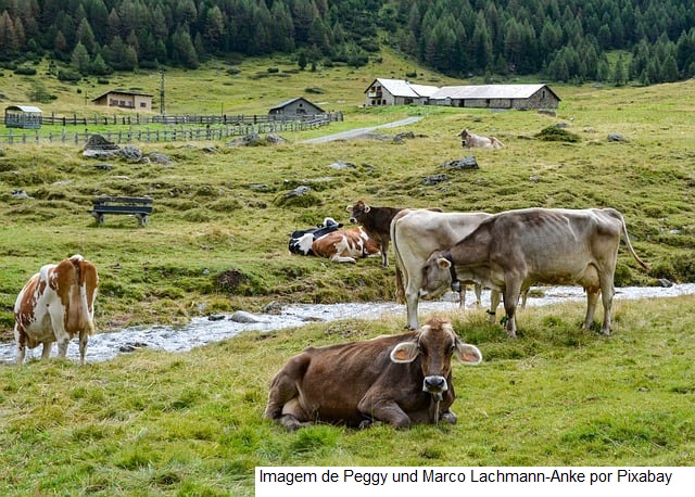 NZ – A Fonterra eleva a projeção dos dividendos após registrar lucro de 23%