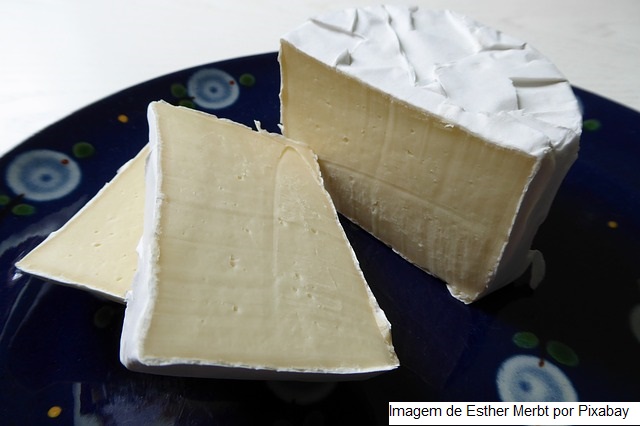 Melhor queijo do mundo em 2021 é feito de leite de cabra espanhol; conheça