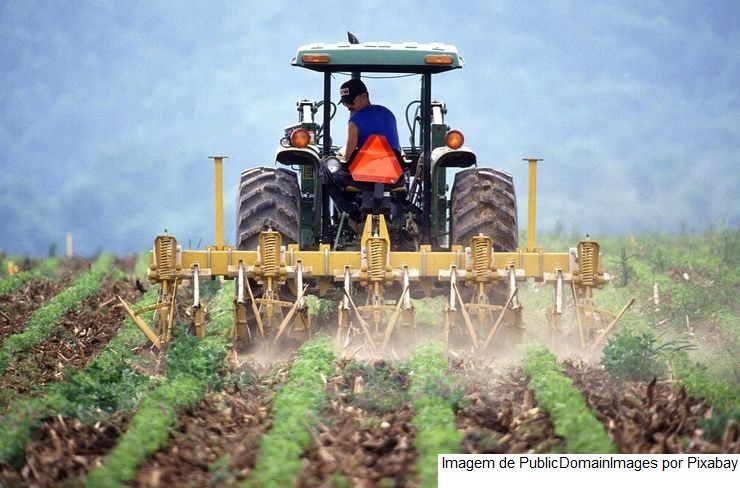 Paraná deve ampliar produção de milho e soja, aponta Deral
